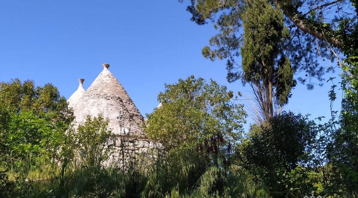 vendesi trulli martina franca (3)