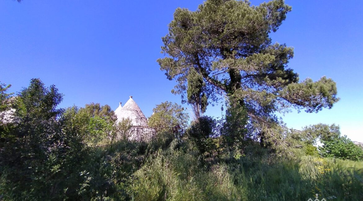 vendesi trulli martina franca (4)