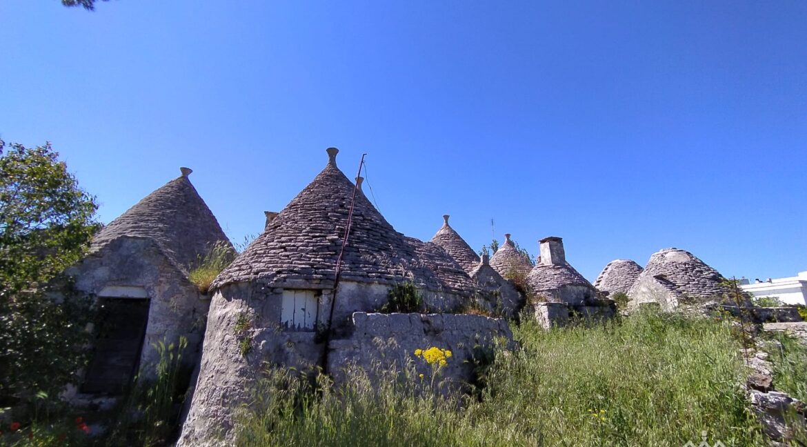 vendesi trulli martina franca (9)