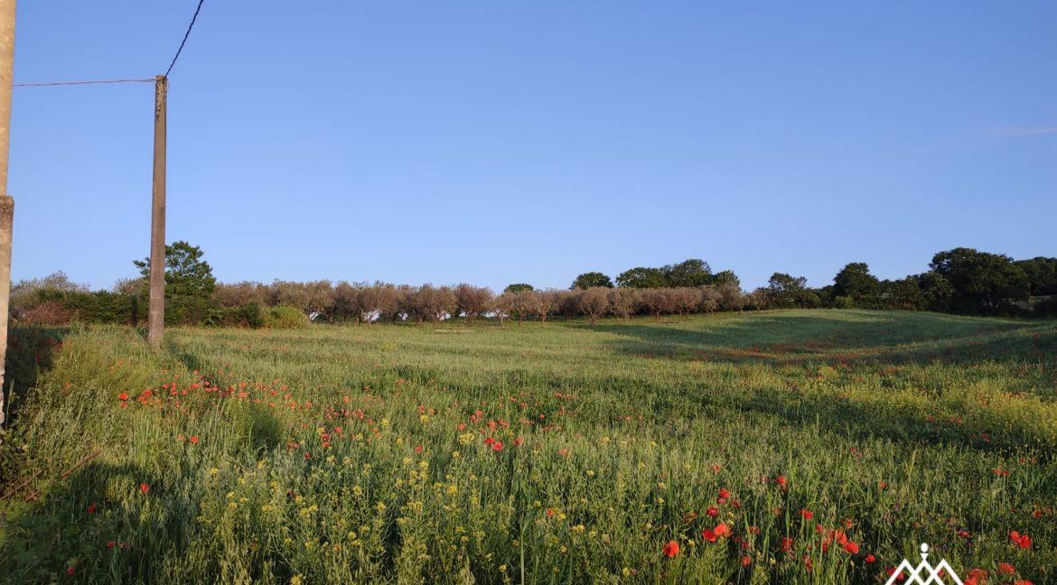 masseria e trulli martina franca (14)