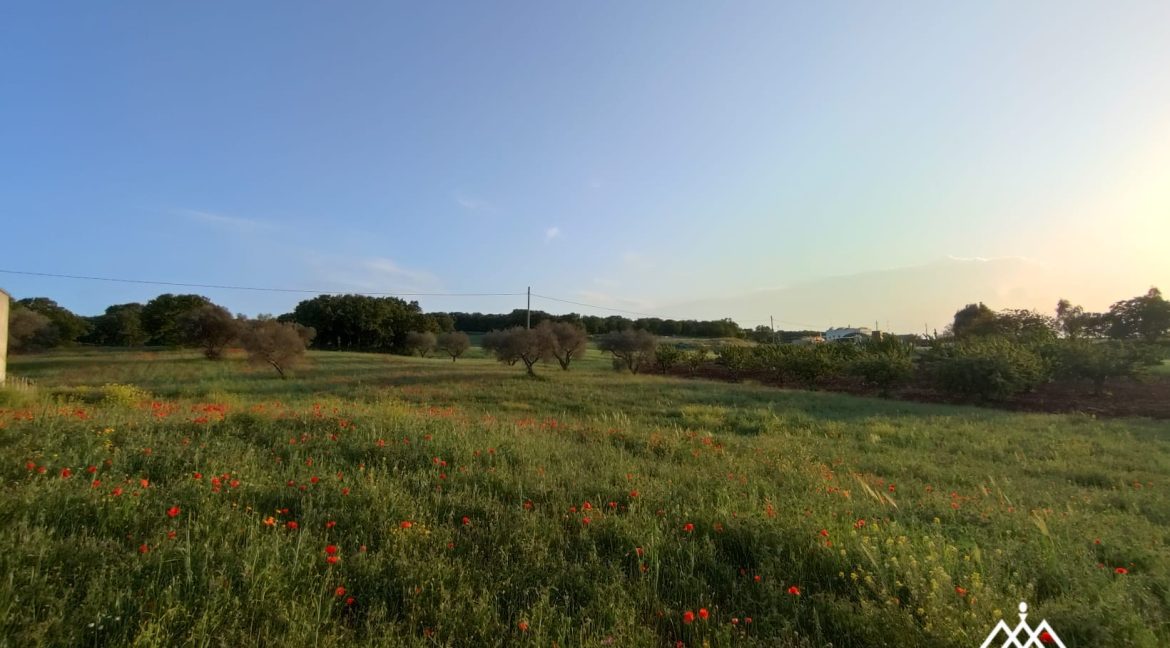 masseria e trulli martina franca (38)