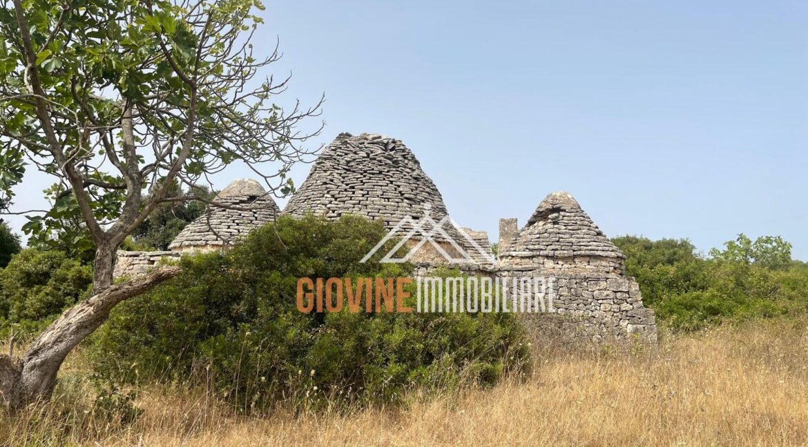 vendesi trulli e rustico martina franca (1)