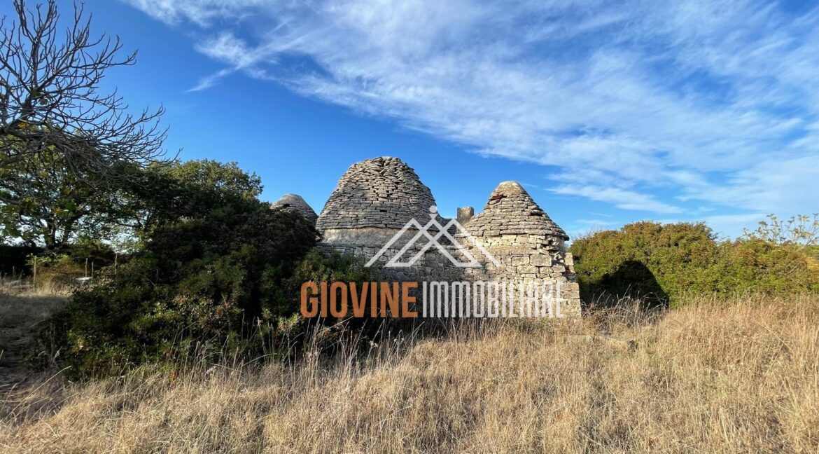 vendesi trulli e rustico martina franca (18)