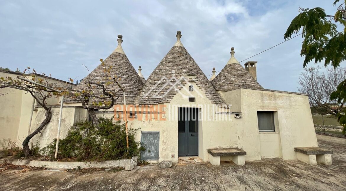 vendesi trulli con lamie ristrutturato martina franca (5)